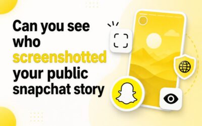 Can you see who screenshotted your public snapchat story? Answer
